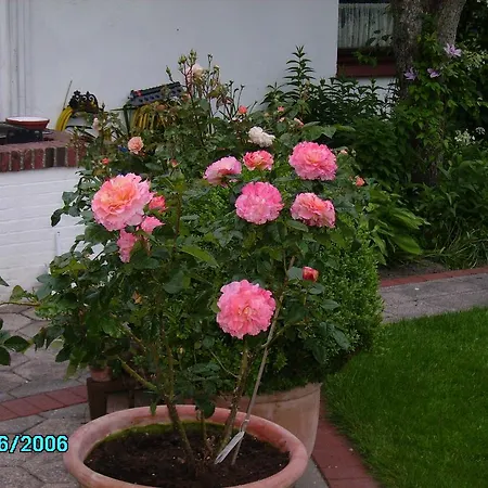 Hébergement de vacances Haus Utspann